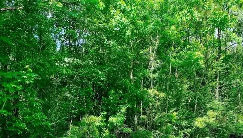 0 Ferito, Buna, TX 77612 photo 4