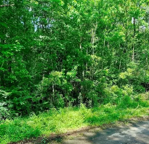 0 Ferito, Buna, TX 77612 photo 2