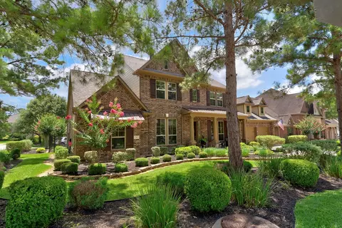 14 Dewlight Pl, The Woodlands, TX 77354