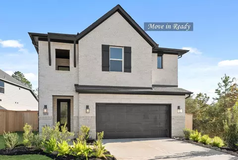 26133 N Skylight Brook Cir, Montgomery, TX 77316