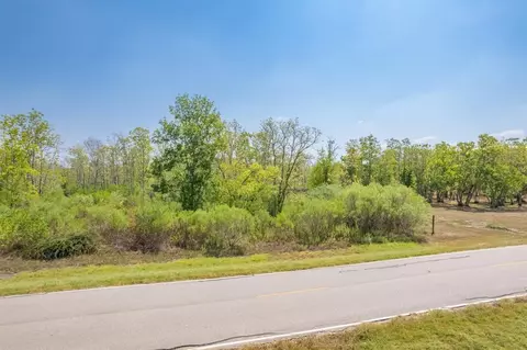 22611 Chenango Lake Dr, Angleton, TX 77515 photo 4