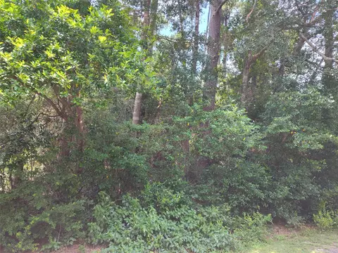 tbd Rollingwood Loop, Conroe, TX 77303 photo 4