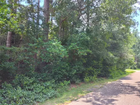 tbd Rollingwood Loop, Conroe, TX 77303 photo 3