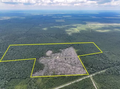 0 Old Honey Island Rd, Honey Island, TX 77625