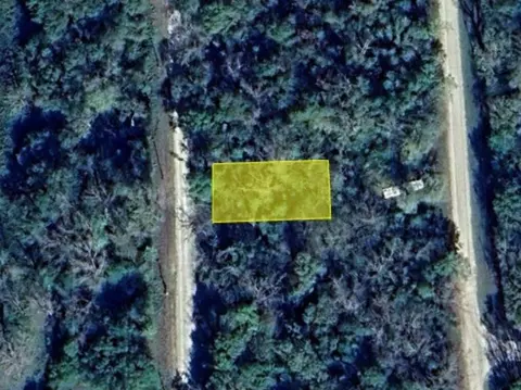 0 Wynne Rd, Trinity, TX 75862 photo 3