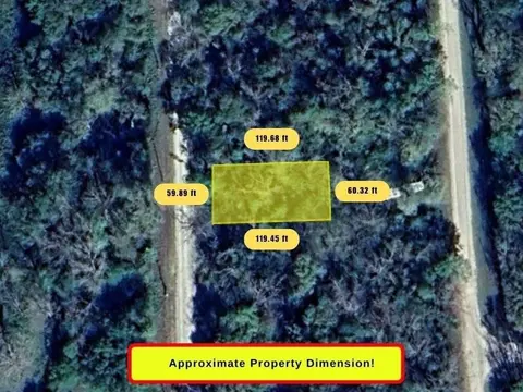 0 Wynne Rd, Trinity, TX 75862 photo 4