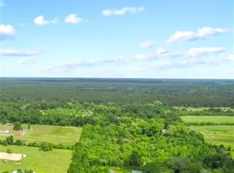 0 Wynne Rd, Trinity, TX 75862 photo 2