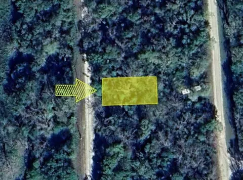 0 Wynne Rd, Trinity, TX 75862 photo 5