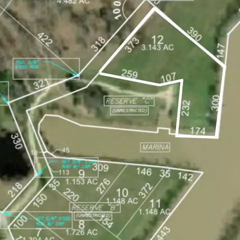 lot12 Lake Livingston Ln, Trinity, TX 75862