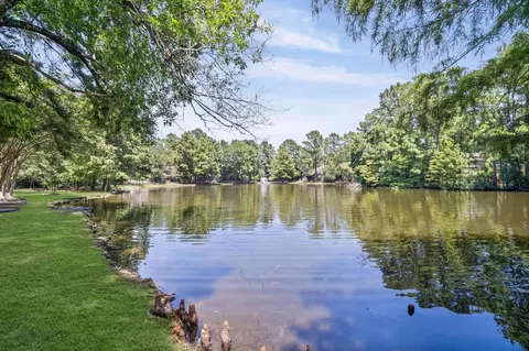 View/Area - 13 Lakeridge Dr, Spring, TX 77381 photo 3 of 7