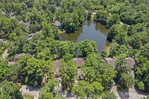 View/Area - 13 Lakeridge Dr, Spring, TX 77381 photo 7 of 7