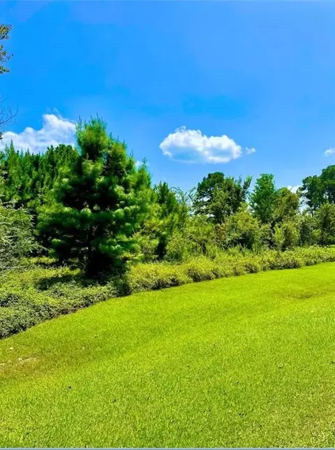 0 Lakeshore Dr, Hempstead, TX 77445