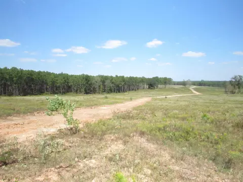 tbd 22 Fm 256 N, Woodville, TX 75979