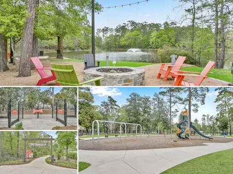 View/Area - 111 Liatris Ct, Conroe, TX 77304 photo 2 of 3