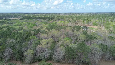 tbd Dream Catcher Dr, Wallisville, TX 77597