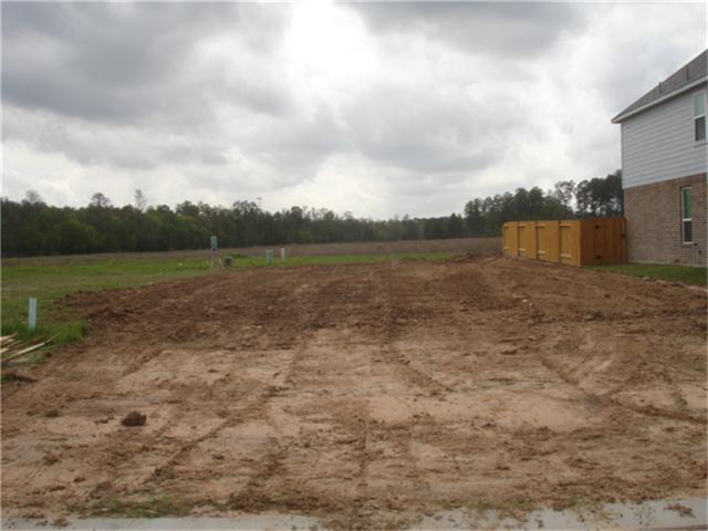 29446 Graceful Path Way, Spring, TX 77386 photo 1