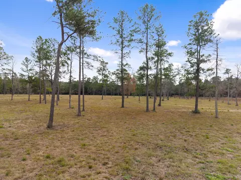 tbd Lot 4 Fm 3152 Rd, Livingston, TX 77351