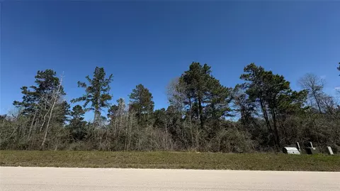 126 Great Plains Way, New Waverly, TX 77358