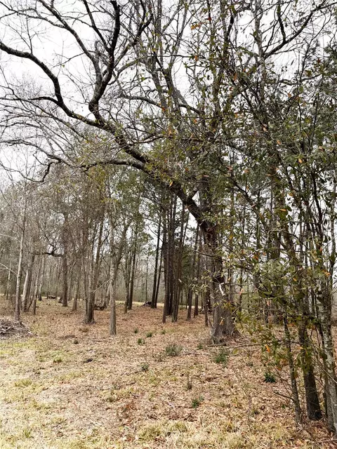 00 Eunice Pvt, Alvin, TX 77511 photo 24