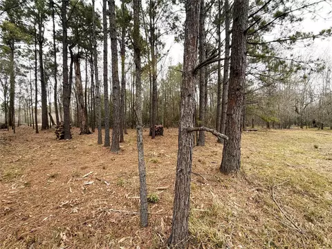 00 Eunice Pvt, Alvin, TX 77511 photo 13