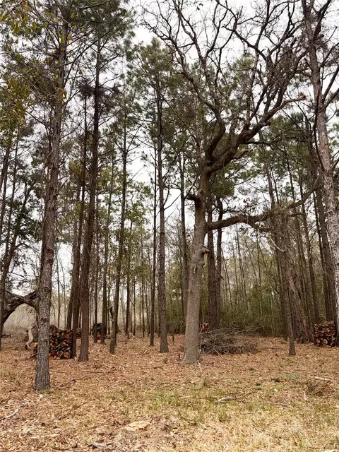 00 Eunice Pvt, Alvin, TX 77511 photo 23