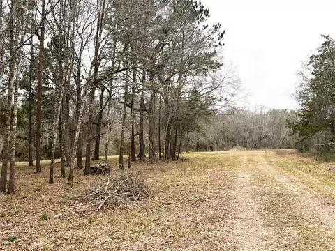 00 Eunice Pvt, Alvin, TX 77511 photo 17