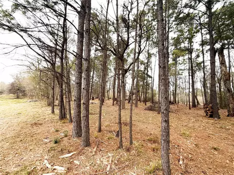 00 Eunice Pvt, Alvin, TX 77511 photo 12