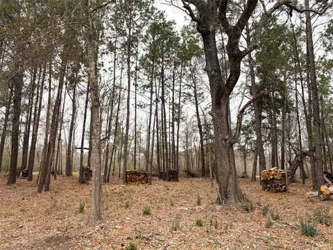 00 Eunice Pvt, Alvin, TX 77511 photo 22