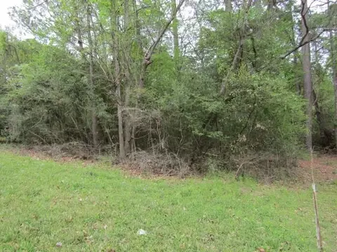 374 Rain Forest Rd, Onalaska, TX 77360 photo 1