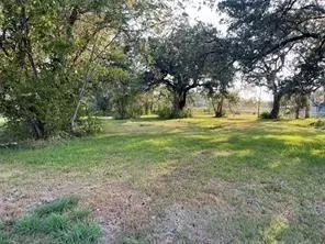0 Travis Ave, Sweeny, TX 77480 photo 3