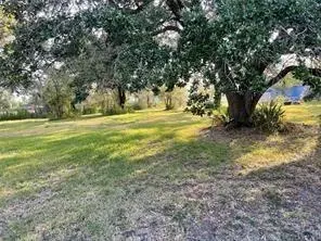 0 Travis Ave, Sweeny, TX 77480 photo 2