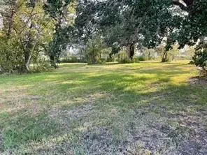 0 Travis Ave, Sweeny, TX 77480 photo 5