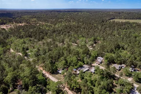 163 Black Walnut St, Trinity, TX 75862 photo 30