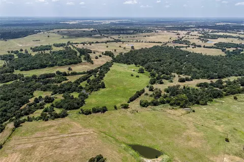 60 Acres Petri Ln, Madisonville, TX 77864