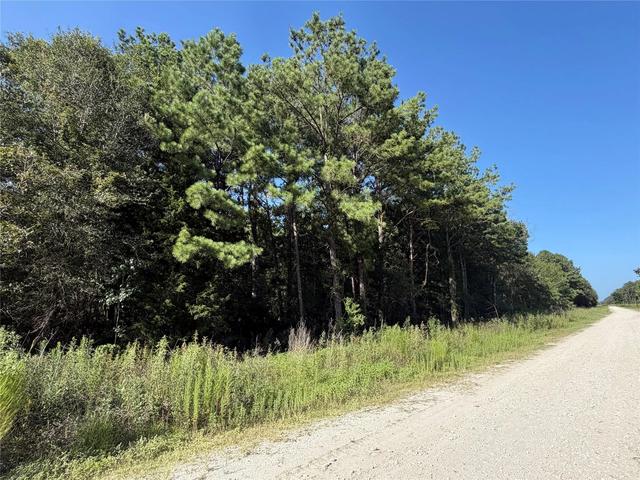 Tract 51 Black Cat Road, Sour Lake, TX 77659