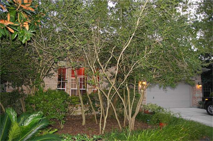 103 Ascot Way Ct, Spring, TX 77382 photo 1