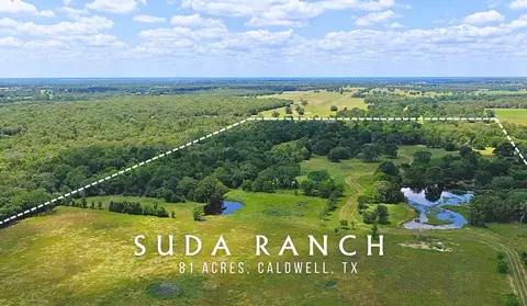 5380 County Road 132 - 81 Acres, Caldwell, TX 77836