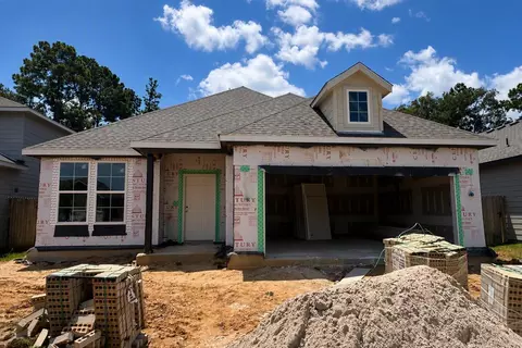 Exterior - 16968 Hazelnut Dr, Conroe, TX 77302 photo 2 of 2