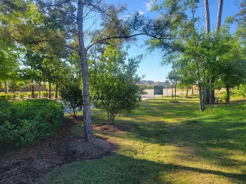 Exterior - 16843 Bristle Cone Way, Conroe, TX 77302 photo 7 of 10