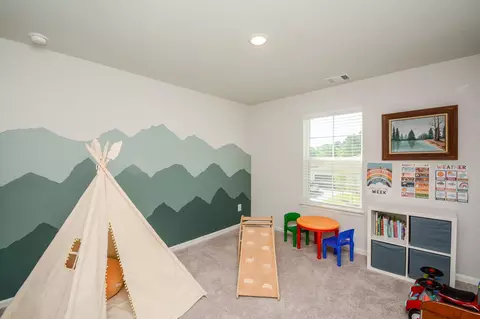 Bedroom - 16843 Bristle Cone Way, Conroe, TX 77302 photo 7 of 7