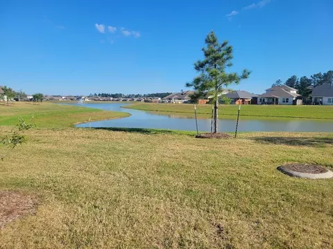 View/Area - 16843 Bristle Cone Way, Conroe, TX 77302 photo 2 of 3
