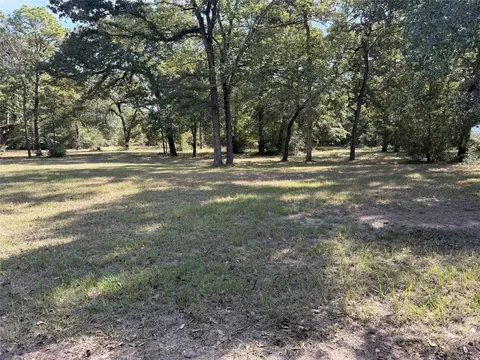 tbd Deer Trl, Hockley, TX 77447
