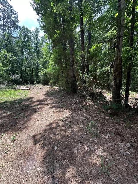 0 Royal Estates Dr, Conroe, TX 77303 photo 3