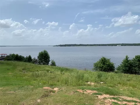 View/Area - 305 Canadian Dr, Trinity, TX 75862 photo 4 of 5