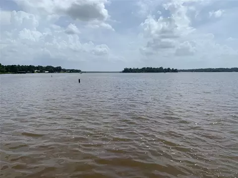 View/Area - 305 Canadian Dr, Trinity, TX 75862 photo 1 of 5
