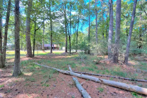 00 Cottonwood, Trinity, TX 75862 photo 8