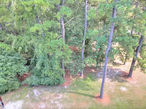 00 Cottonwood, Trinity, TX 75862 photo 5