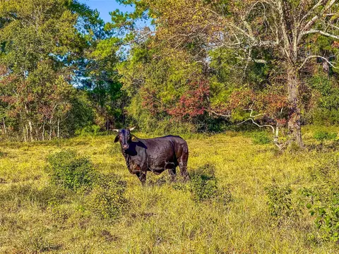 tbd County Road 2090, Liberty, TX 77575