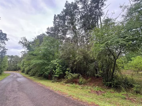 0 Whisperwood Dr, Onalaska, TX 77360