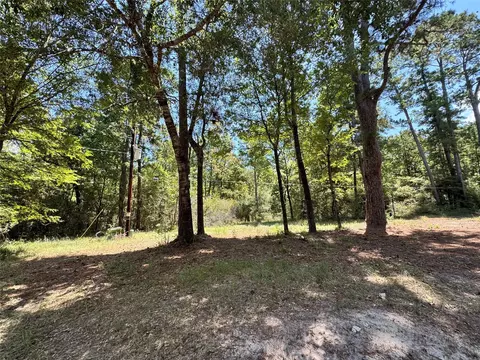tbd 13 Sparrow, Trinity, TX 75862 photo 8